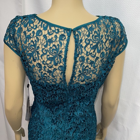 Adrianna Papell Lace Cap Sleeve Dress - Picture 9 of 13